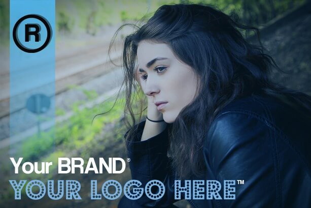 LMS Branding - Beyond the Logo